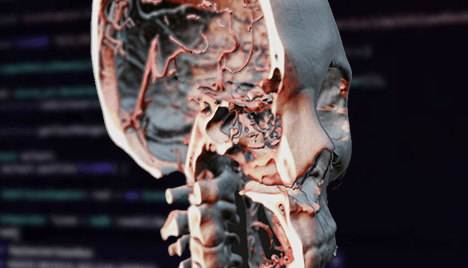 Physically Based Shading for medical image data