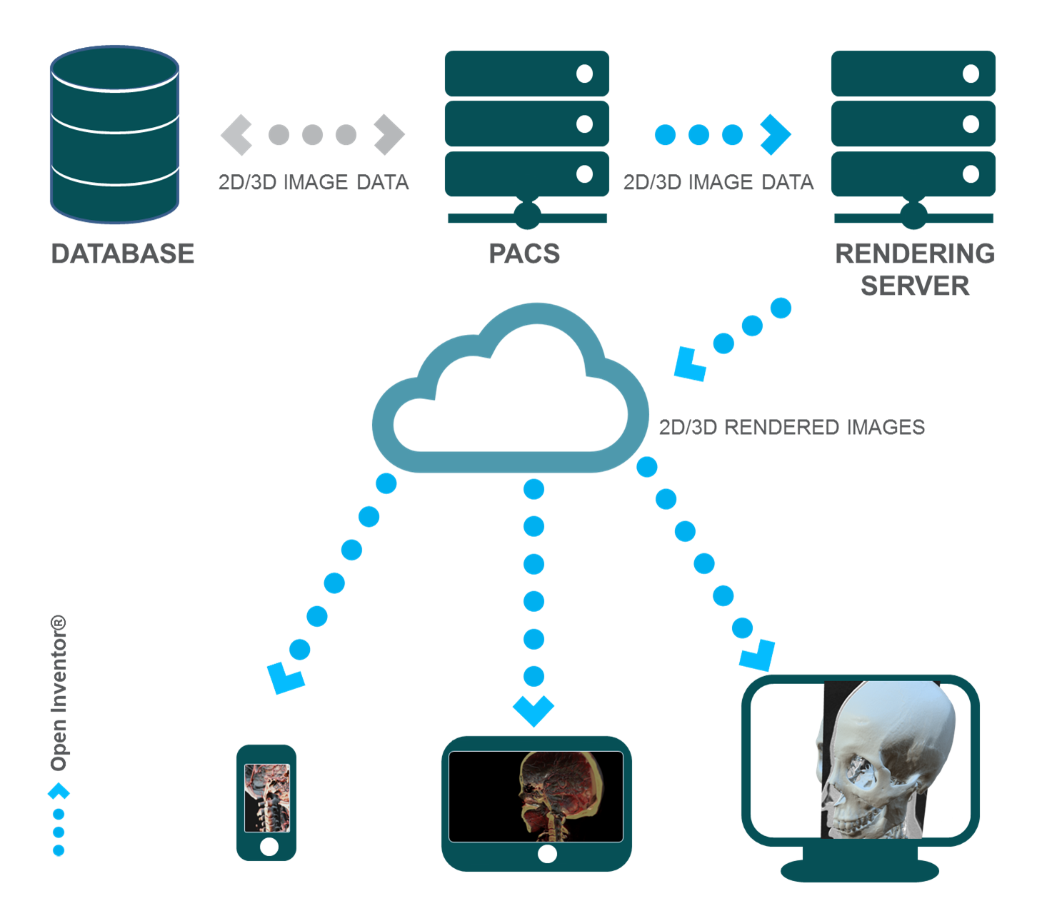 OpenInventor-Medical-PACS-Develop-once-access-everywhere_2