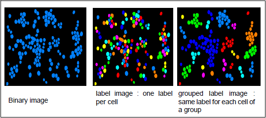 SoGroupCloseLabelslProcessing2d_image01.png