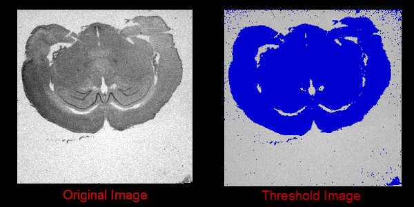 Thresholding Segmentation